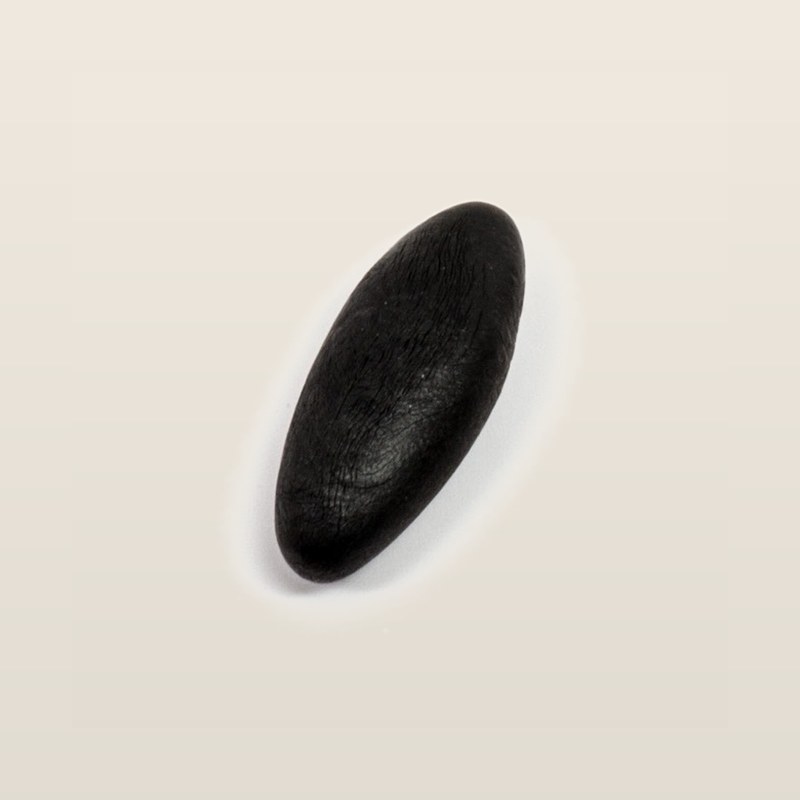 Shilajit extract — Mineral resin